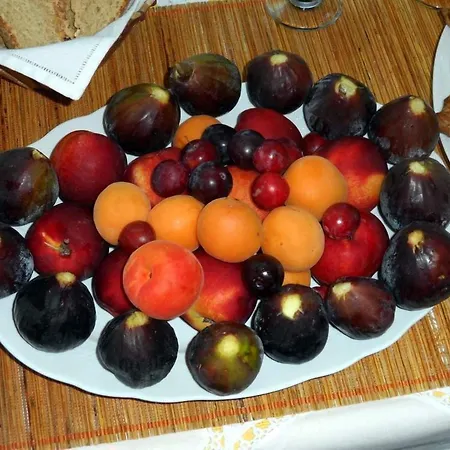 B&B Santa Venardia 갈리폴리